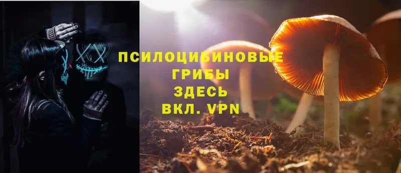 Псилоцибиновые грибы MAGIC MUSHROOMS  хочу   Бавлы 